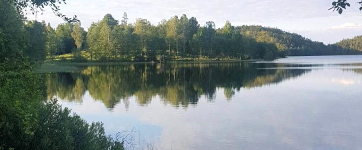 Töresjö, Övre Sjön, Stora Kroksjön m fl vatten - Image 5