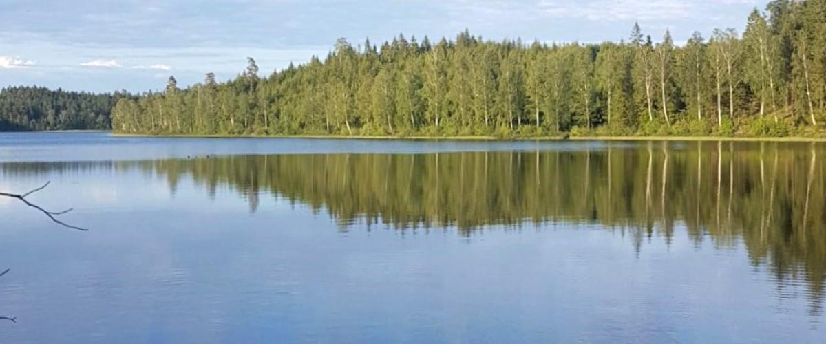 Töresjö, Övre Sjön, Stora Kroksjön m fl vatten - Image 6