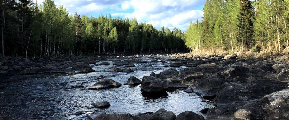 Borgsjö Mellersta FVOF - Image 5