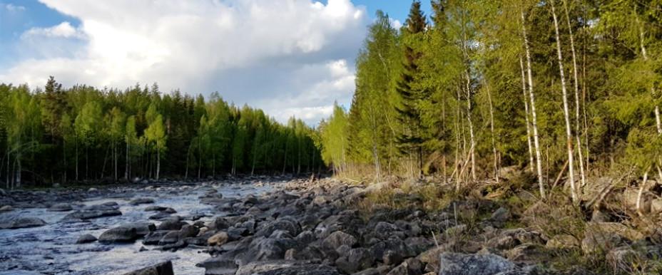 Borgsjö Mellersta FVOF - Image 1