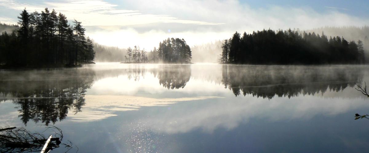 Brittjärn