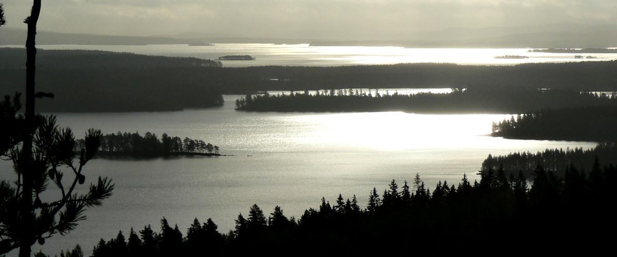 Glaskogen - Image 6