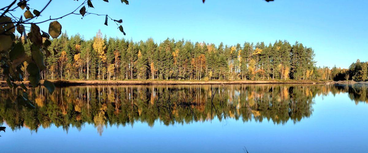 Glaskogen - Image 4