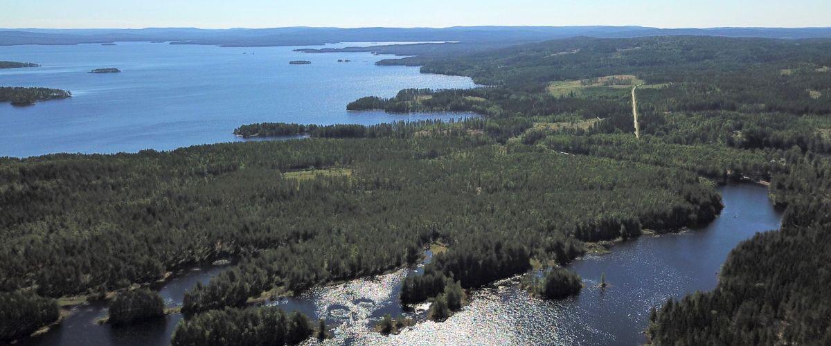 Glaskogen - Image 5
