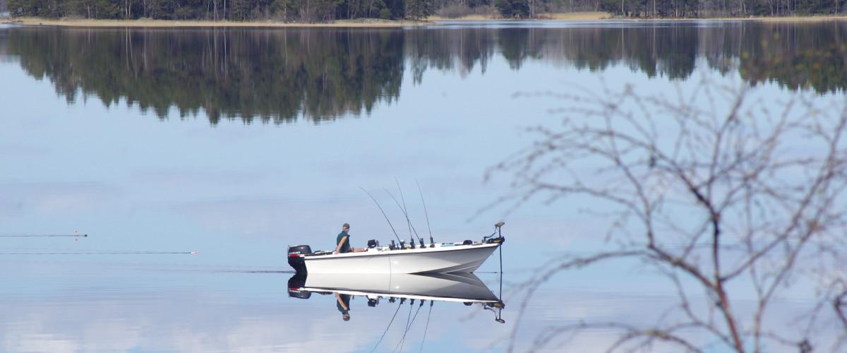 Höstfiske
