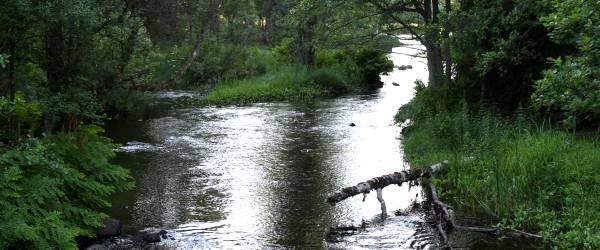 Bräkneån - Image 3
