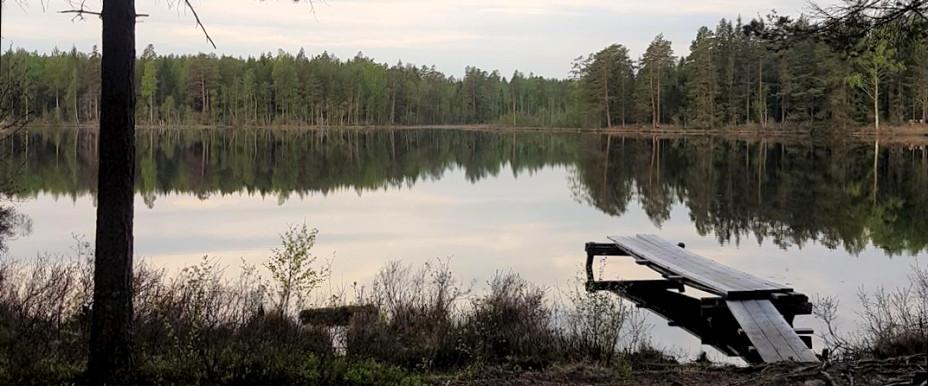 Järndammen, Silvköparen, Långforsen m fl vatten - Image 1