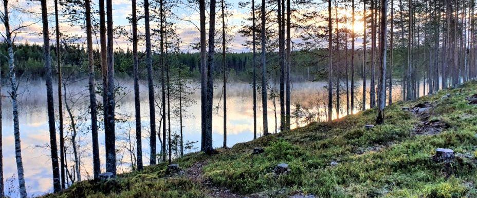 Rågravträsket - Image 9