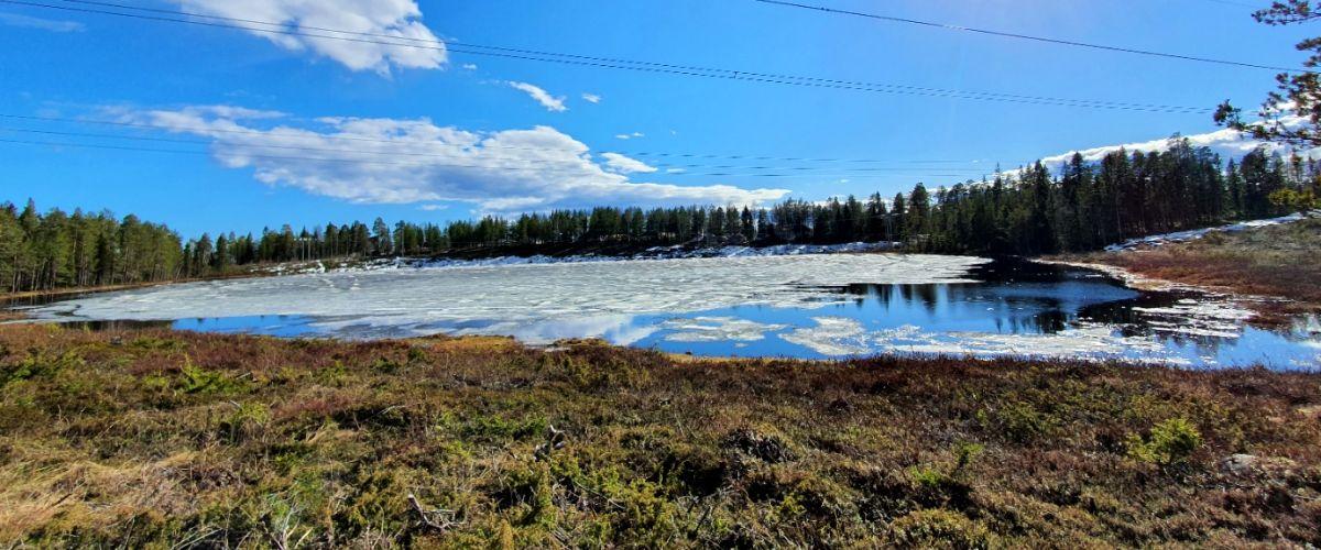 Djuptjärn - Image 2