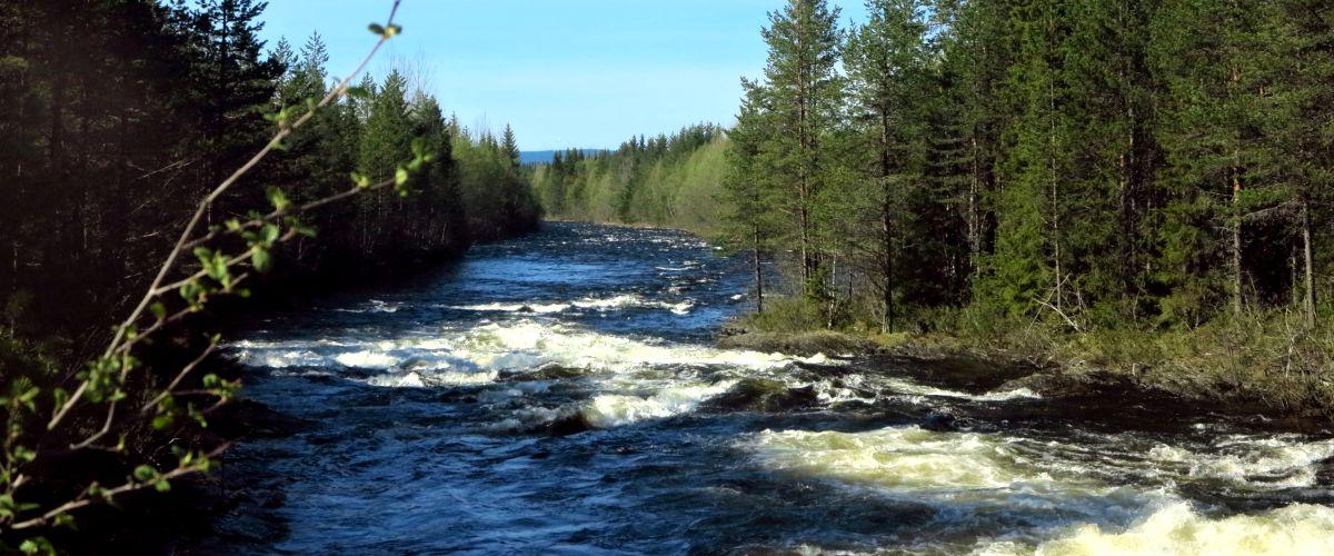 Kallforsen Åkerån