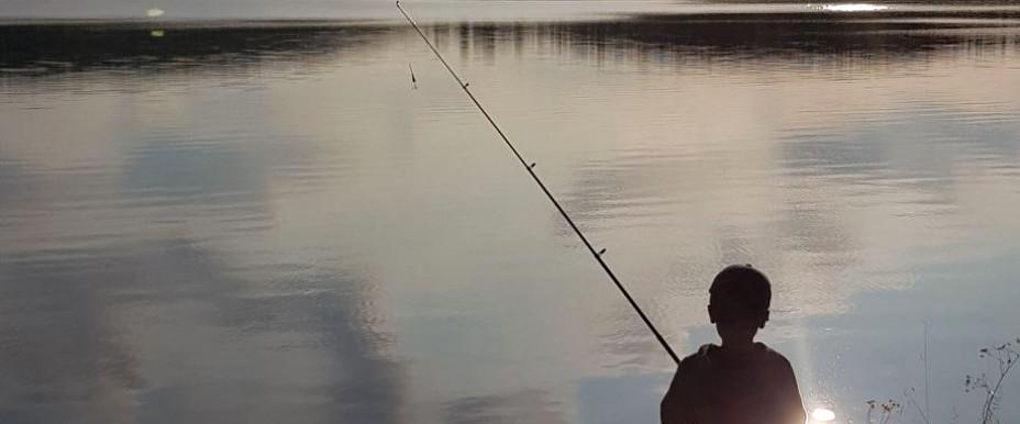 Rödvattenssjön, Västervattnet m fl vatten - Image 5