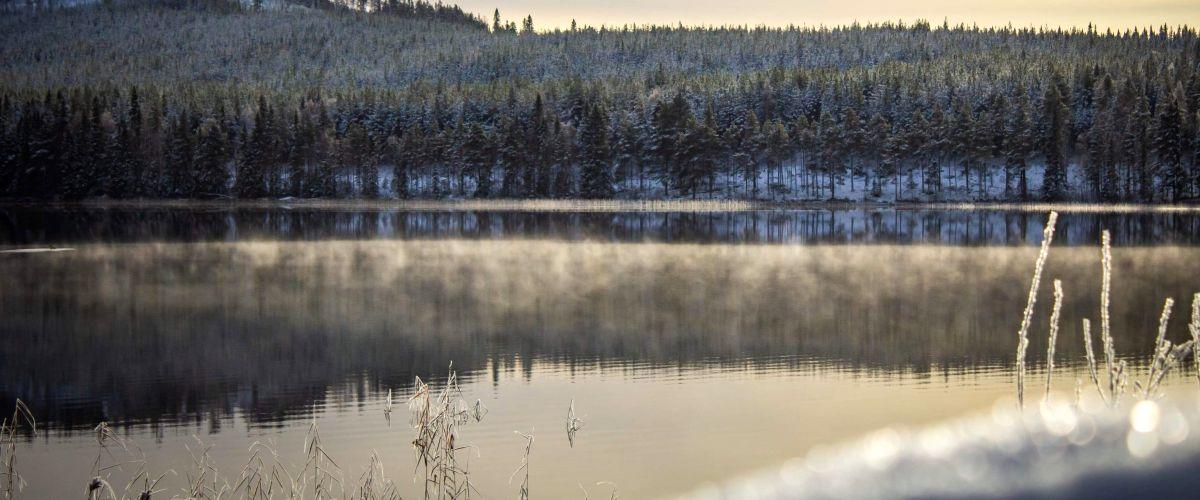 Ismunden, Boggsjön, Stortjärnen m fl vatten - Image 2