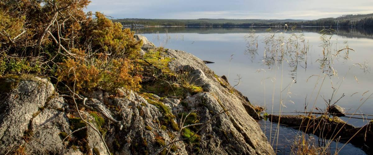 Ismunden, Boggsjön, Stortjärnen m fl vatten - Image 3