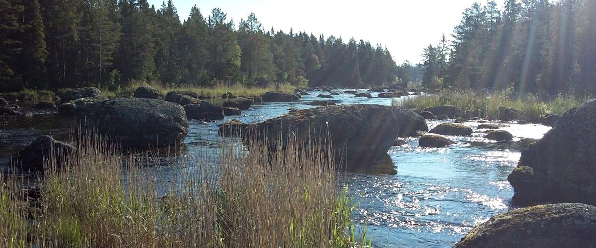 Övre Gimån - Image 6