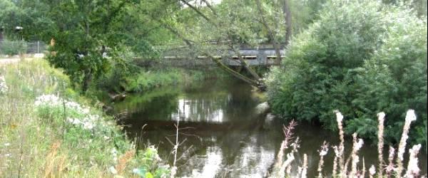 Almaån (Övre) - Image 2