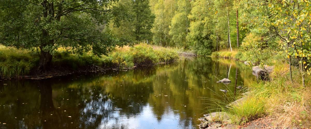 Strömfiske Alsterån