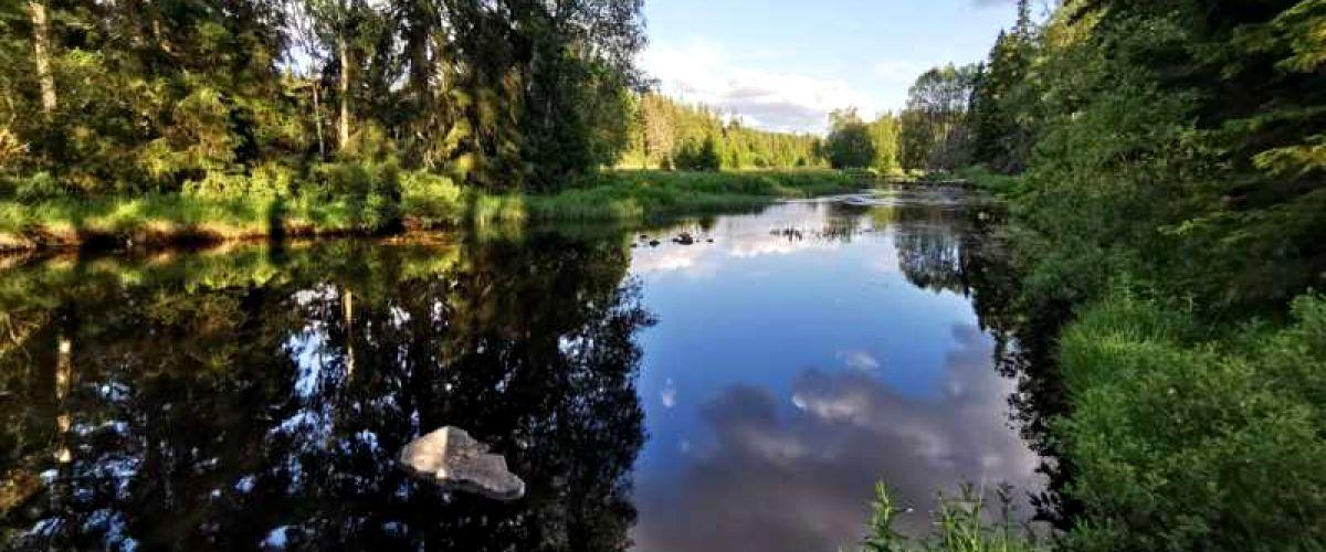 Strömfiske Alsterån