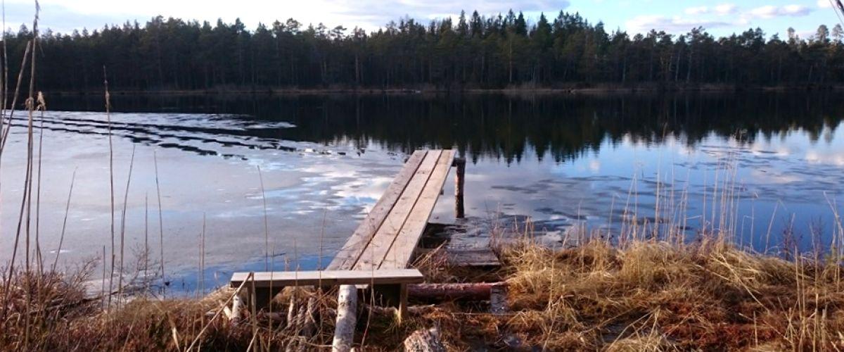 Ormsjön - Image 3