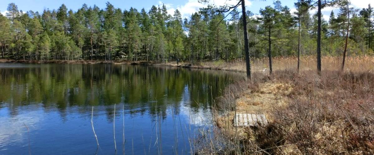 Ormsjön - Image 1