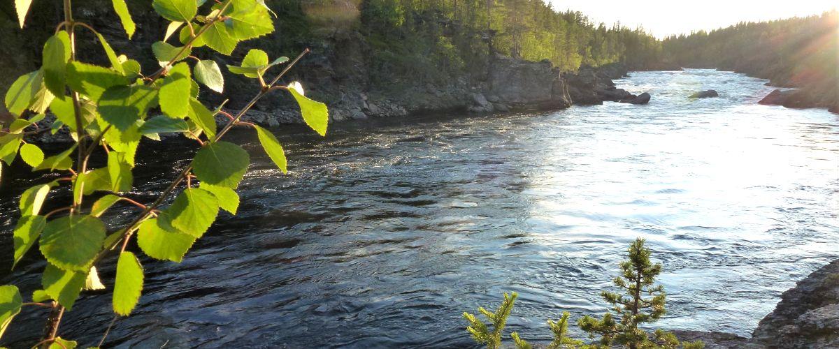 Saarikoski, Kalixälven, Käyräjärvi m fl vatten - Image 1