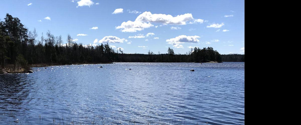 Vikasjön från norra stranden
