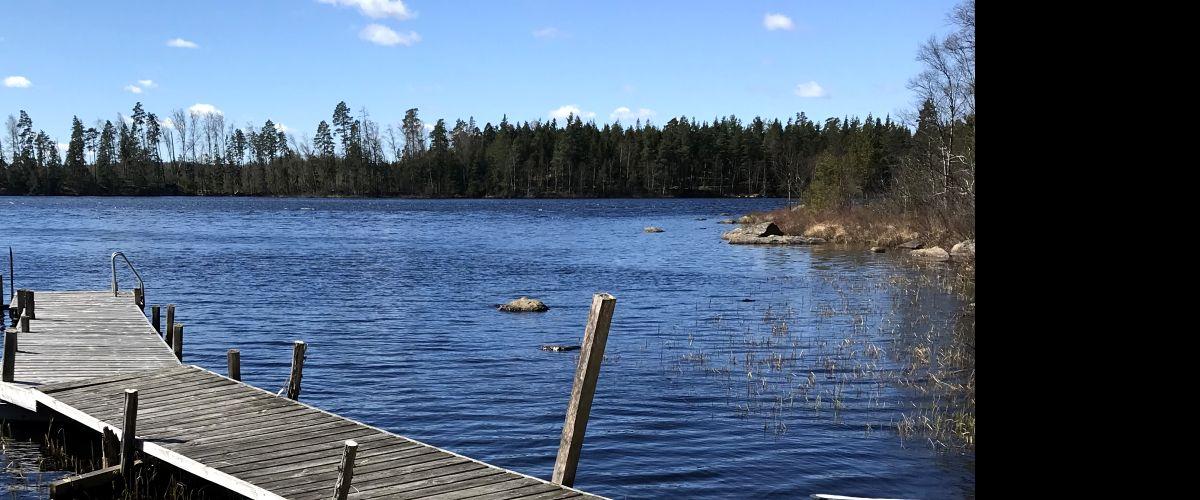 Vikasjön norra stranden