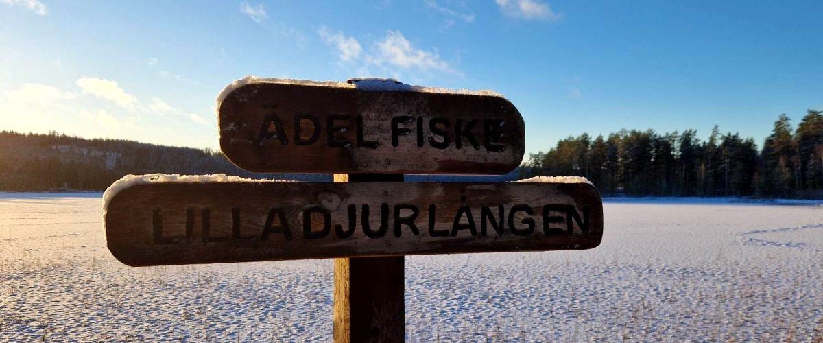 Ädelfiskevatten Malingsbo-Kloten - Image 2