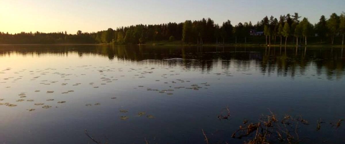 Brännträsket, Ostträsket, Storbäcken m fl vatten - Image 4