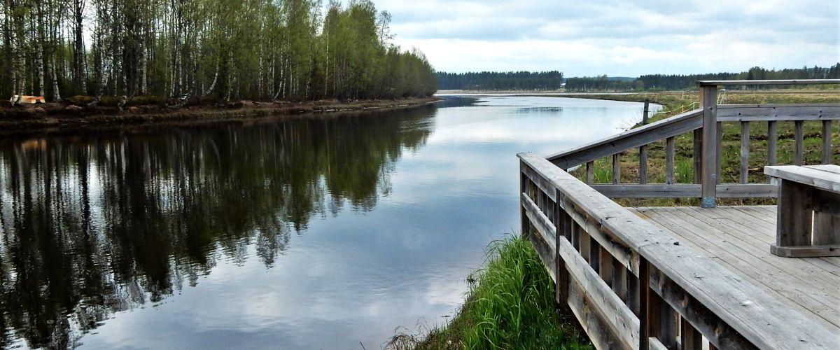 Storbäckens utlopp