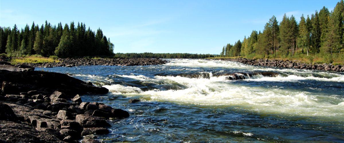 Vindelälven, Sandforsen m fl vatten - Image 1