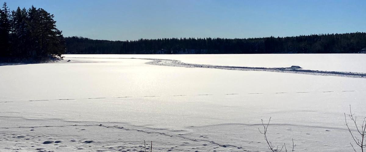 Hjortesjön (Virserum) - Image 2