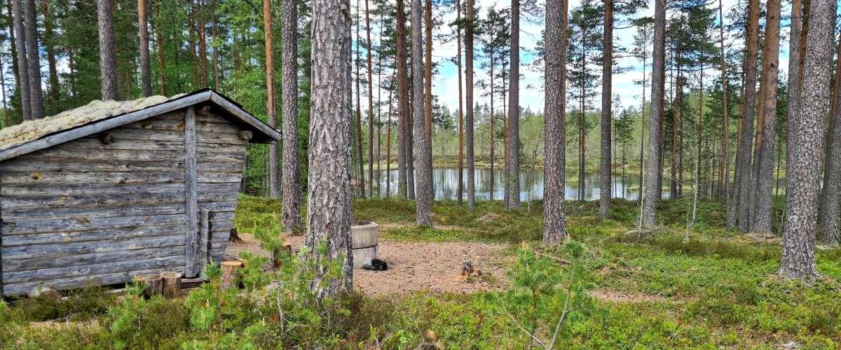 Hamptjärn