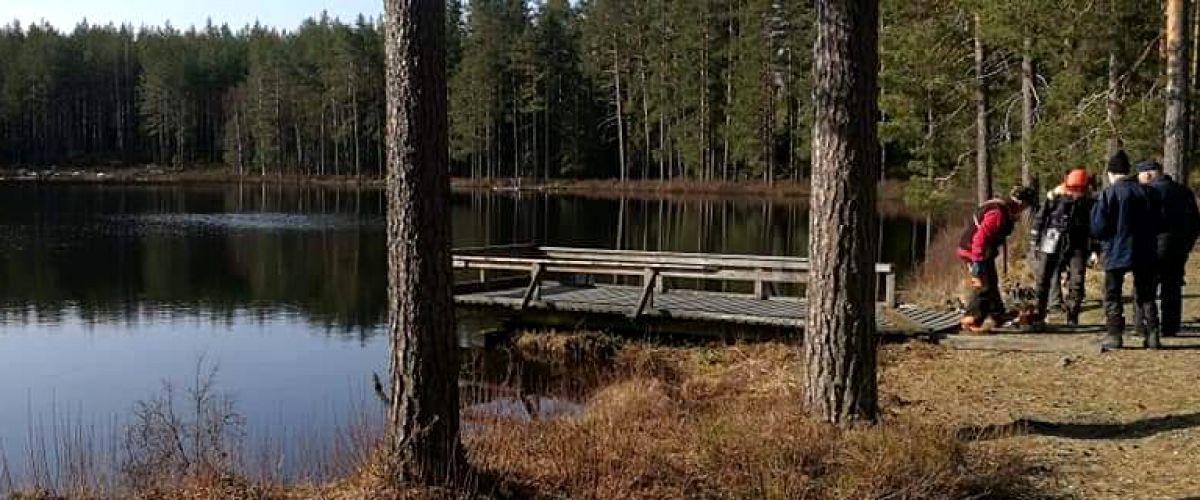 Tattartjärn, Norstjärn, Ljustjärn - Image 7