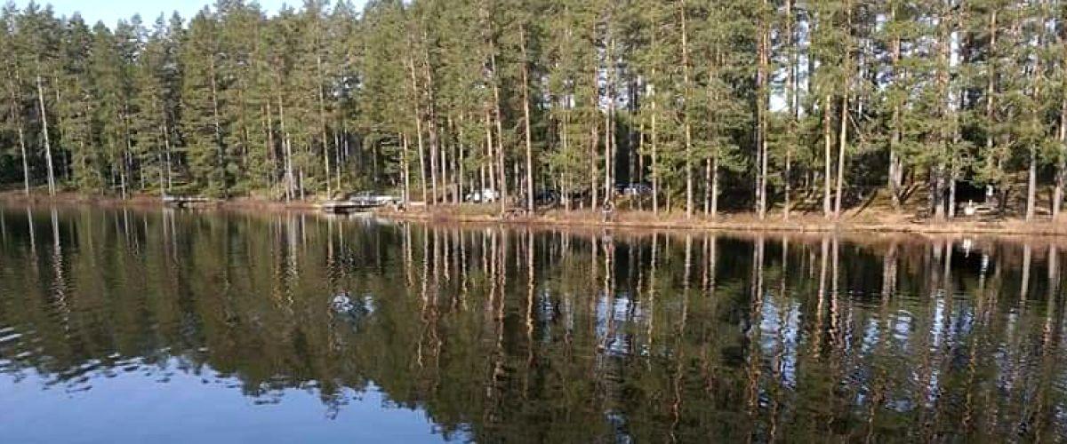 Tattartjärn, Norstjärn, Ljustjärn - Image 8