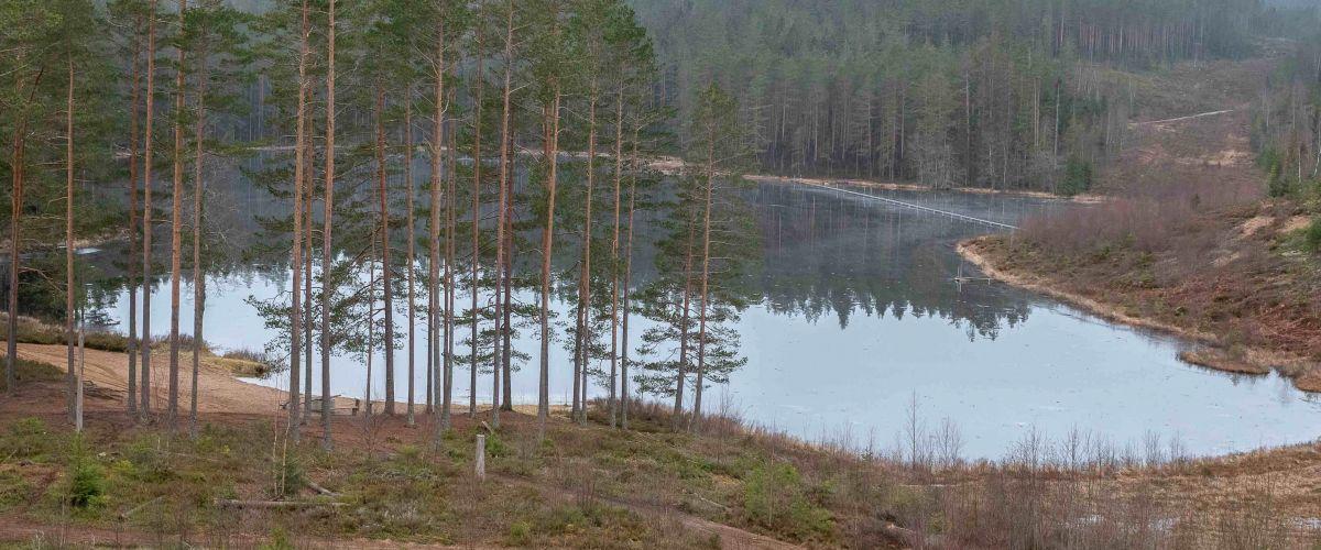 Tattartjärn, Norstjärn, Ljustjärn - Image 1