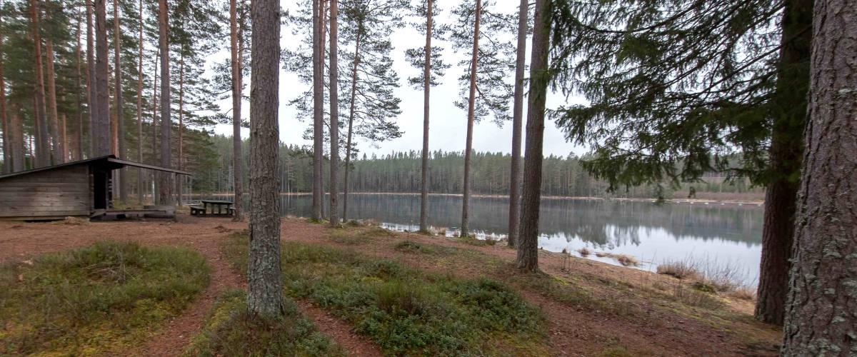 Tattartjärn, Norstjärn, Ljustjärn - Image 2