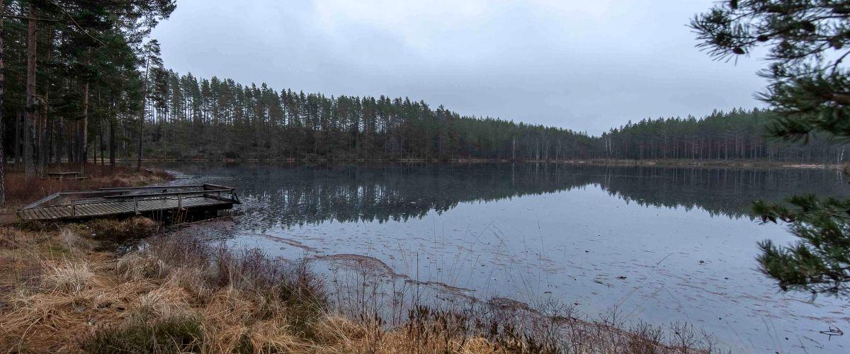 Tattartjärn, Norstjärn, Ljustjärn - Image 4
