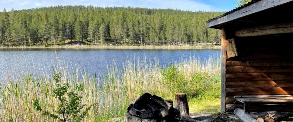 Rörtjärn