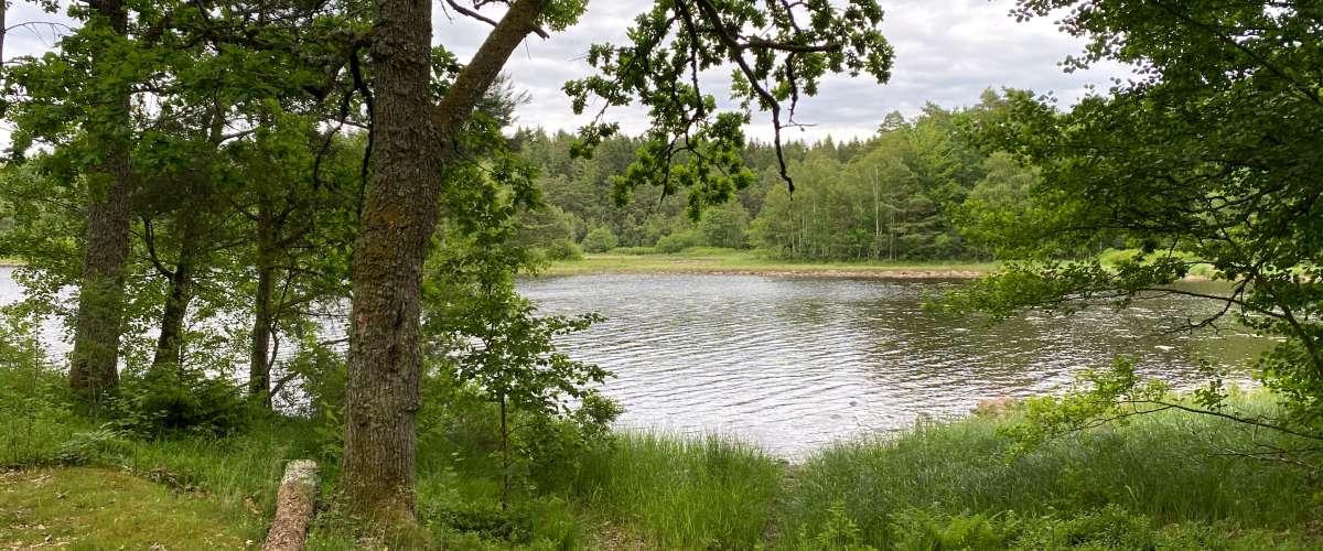 Lägerplatser Lagaleden (Laholm) - Image 4