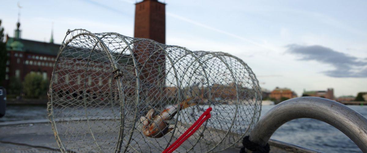 Kräftfiske i Stockholm, Mälaren m fl vatten - Image 2