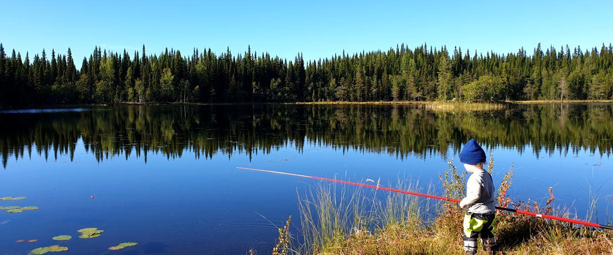 Stortjärnen