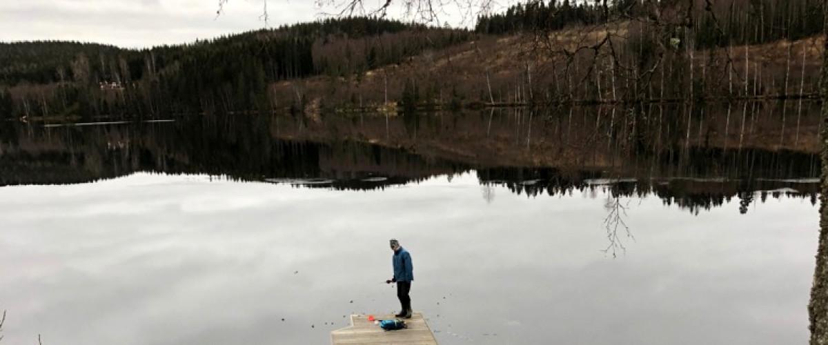 Acksjöns FVOF - Image 2