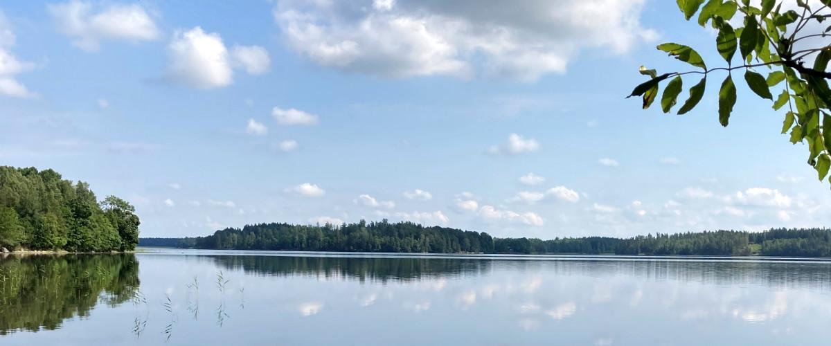 Photo of Multen