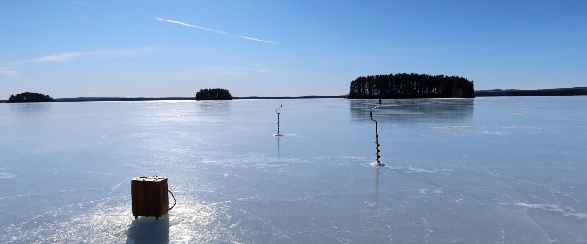 Venjanssjön - Järpesbo