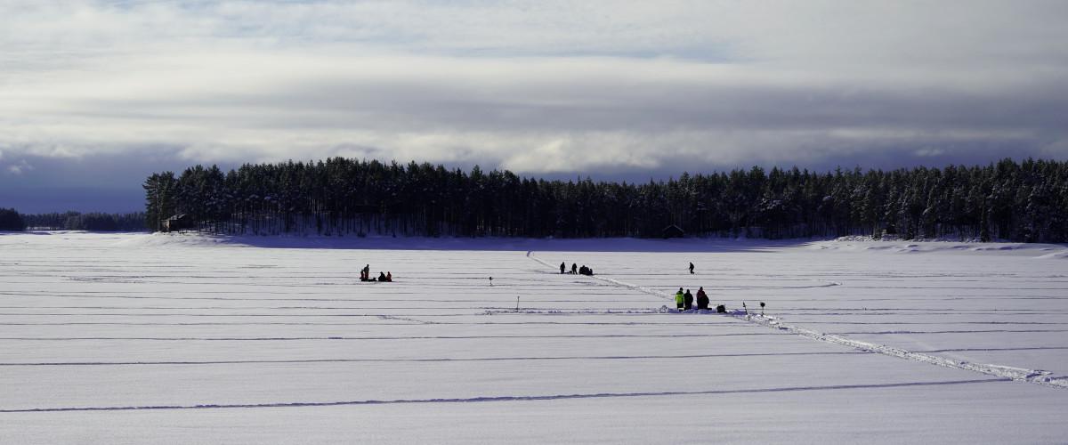 Venjanssjön - Nötholmen