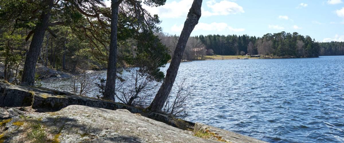 Photo of Lejondalssjön arrenderat område