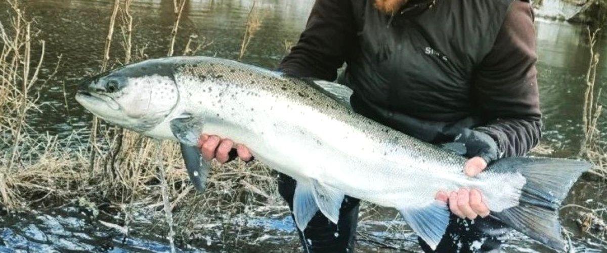 Mörrumsåns FVO Ebbemåla-Åmma - Image 10