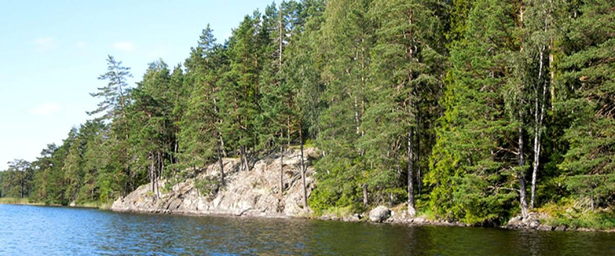 Stor-Älgsjö