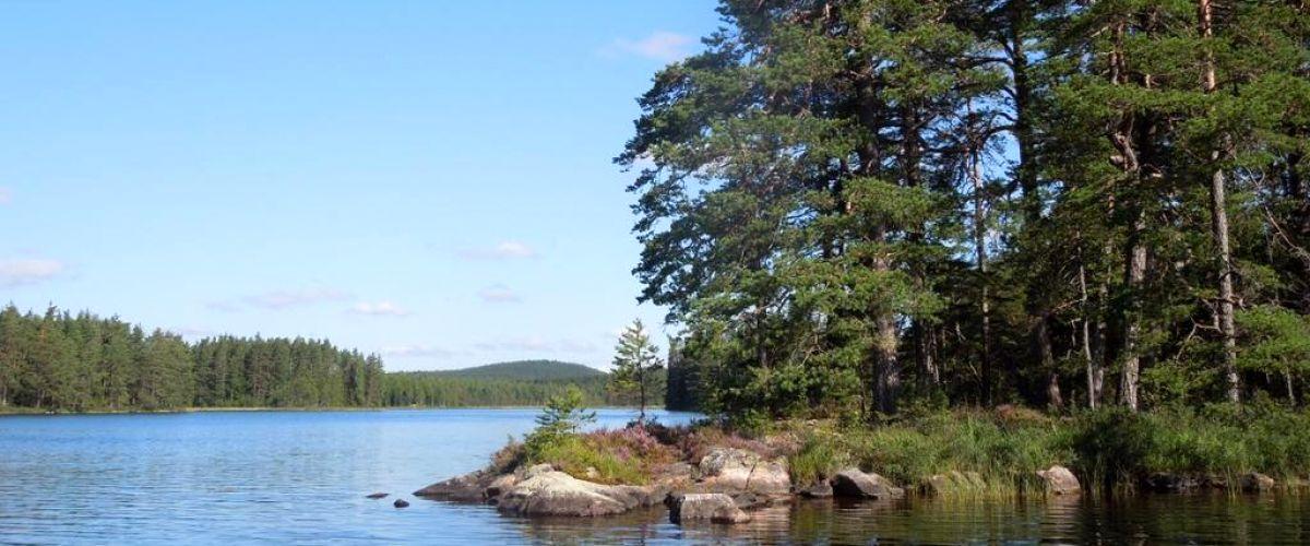 Stor-Älgsjö