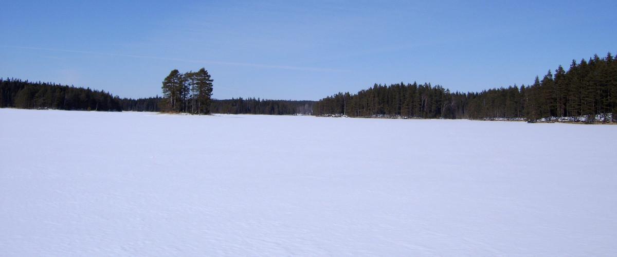 Stor-Älgsjö